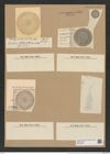 Coscinodiscus bulliens A. Schum. (de-Toni-Nr.: Genus 202, Species 4977) Zeichnungen Sammlung Grunow Nr. 8591 (NHMW-BOT-W0378245)